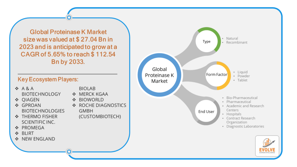 Proteinase K Market