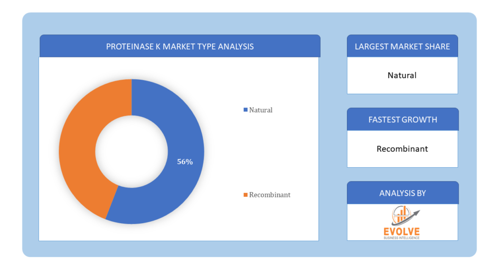 Proteinase K Market Type Analysis