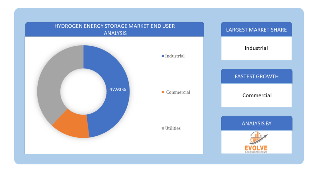 Hydrogen Energy Storage Market end user analysis