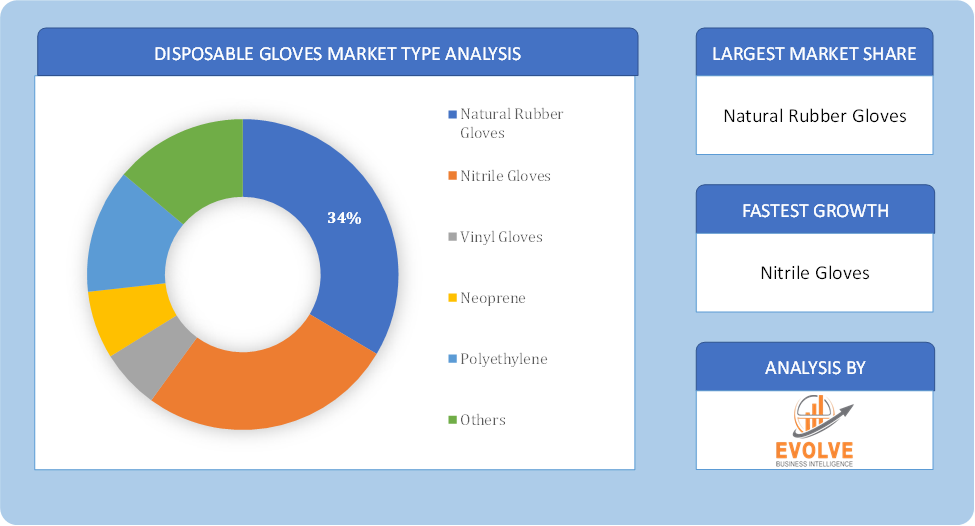 Disposable Gloves Market Segment Overview