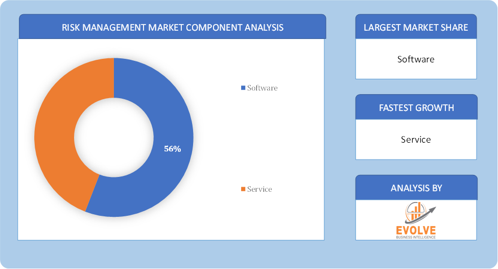 Risk Management Market component analysis