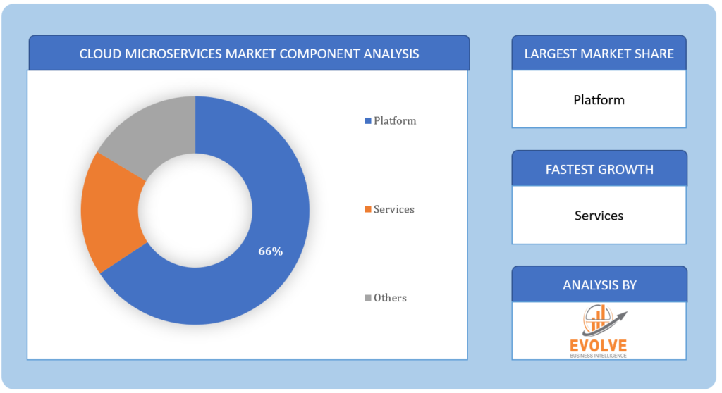 Cloud Microservices Market Component Analysis