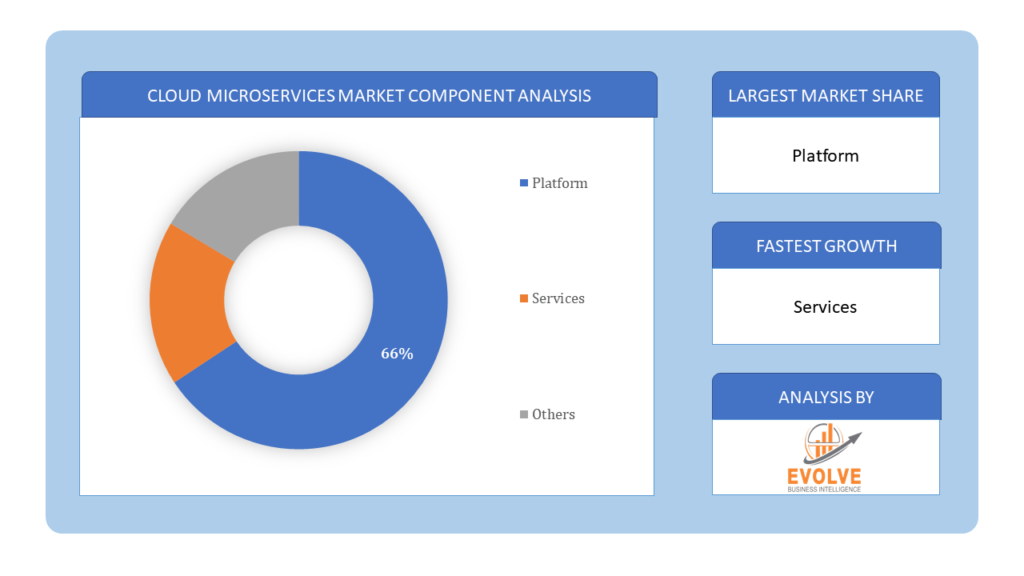 Cloud Microservices Market Component Analysis