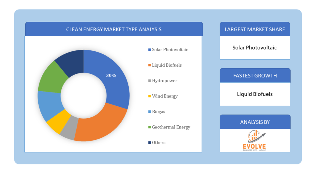 Clean Energy Market Type Analysis