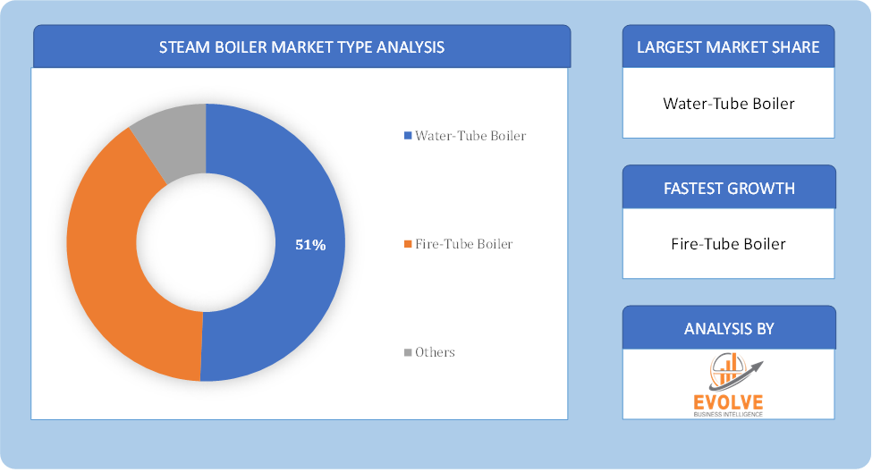 Steam Boiler Market Type Analysis