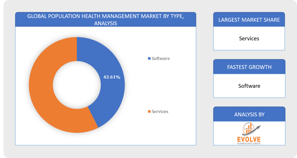 Global Population Health Management Market by type Analysis