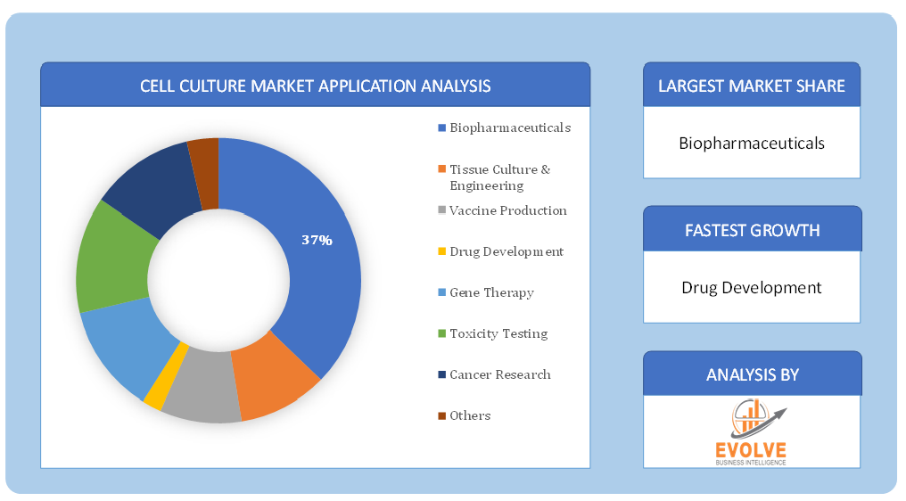 Cell Culture Market Application Analysis
