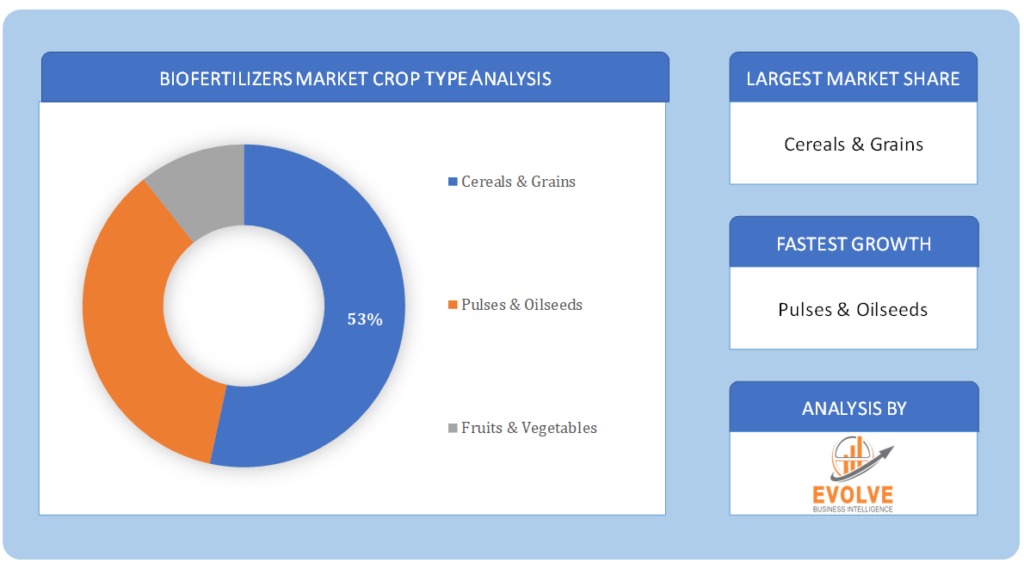 Biofertilizers Market Crop Type Analysis
