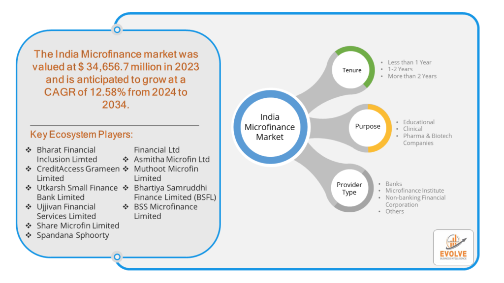 India Microfinance Market