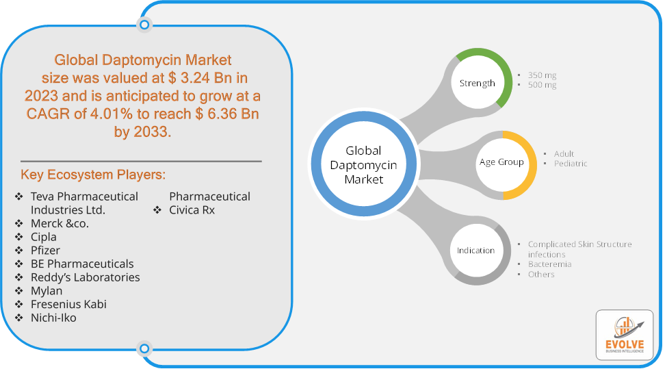 Daptomycin Market 